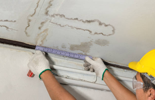 Reliable Mold Remediation contractor in Oilton, OK by Water Damage Irwin